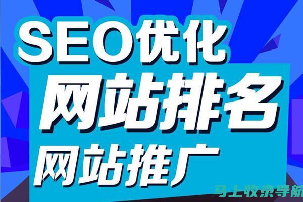 SEO新手必学：零基础教学视频教程